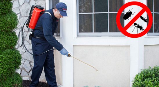 Yalvaç Fare İlaçlama böcek ilaçlama ve haşere kontrolü — ilaclama-tr.com
